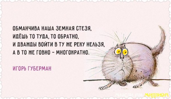 Губерман стихи смешные короткие