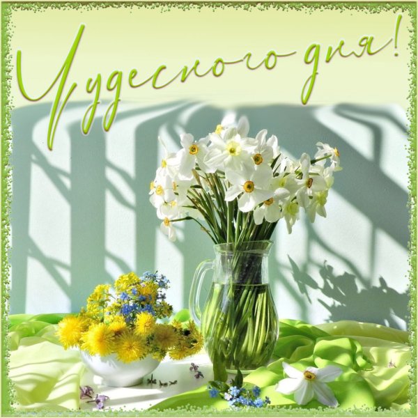 Чудесного дня