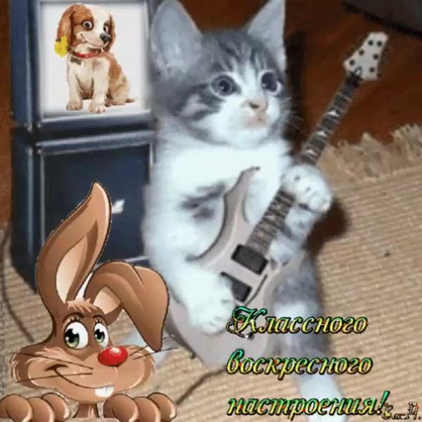 Доброго воскресного дня