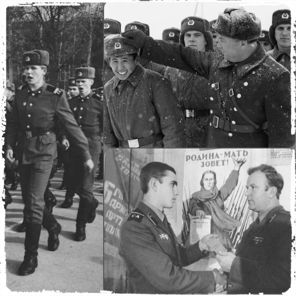 Жди сына из армии