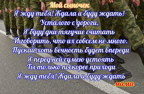Отсчет пошел 100 дней