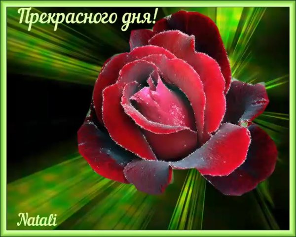 Открытка прекрасный день