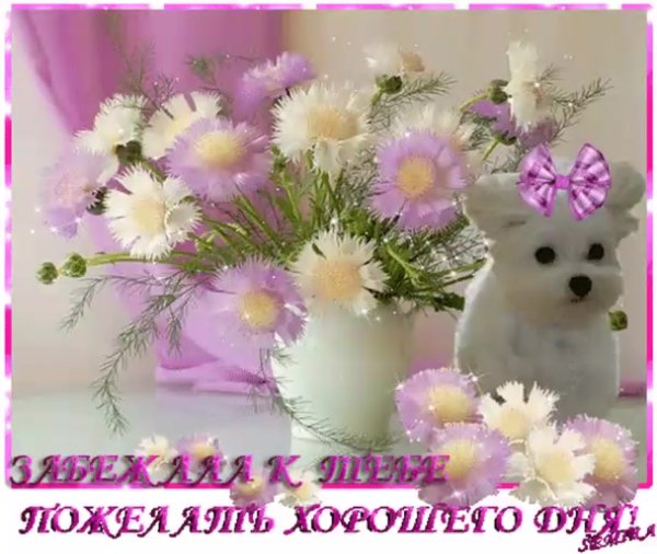 Чудесного дня и настроения