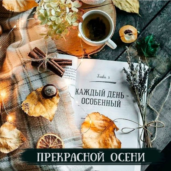 Стильные открытки добрый день