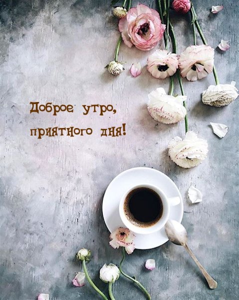 Доброе утро стильные