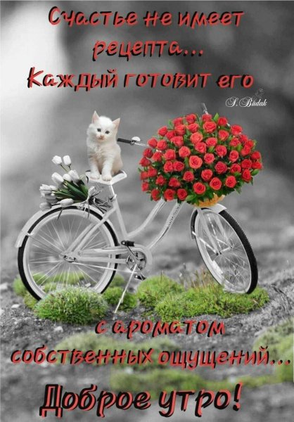 Велик с цветами