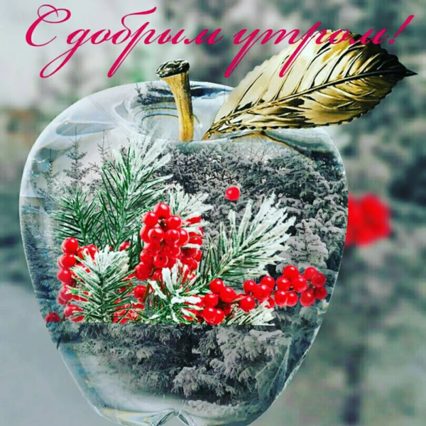 Доброе зимнее утро