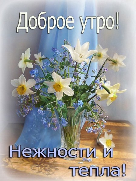 Прекрасного утра