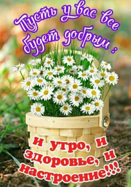 Позитивные пожелания на день