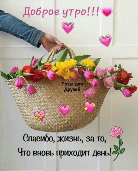Доброе утро жизнь