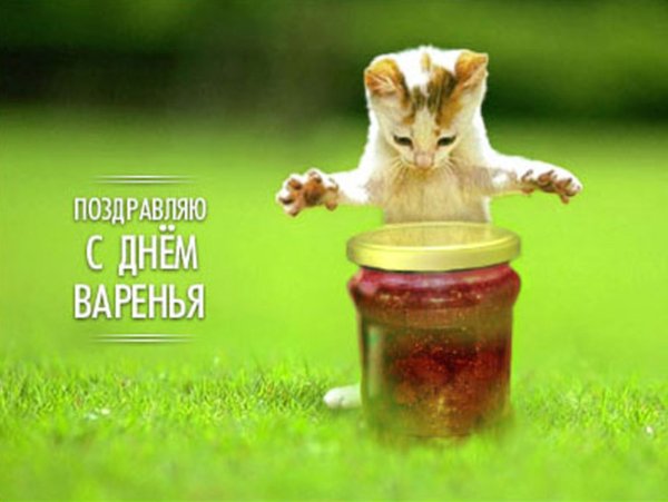 Открытка «с днем варенья»