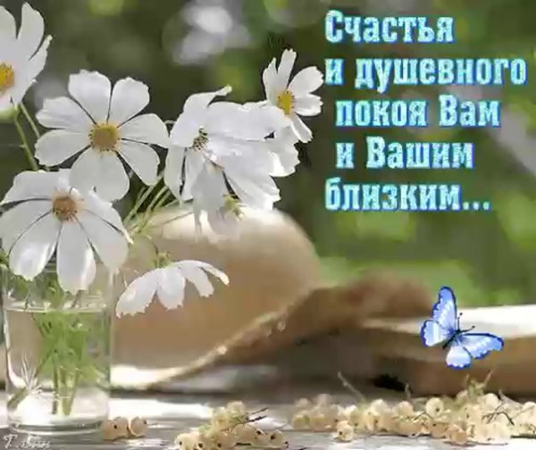 Пожелания счастья и добра с утра