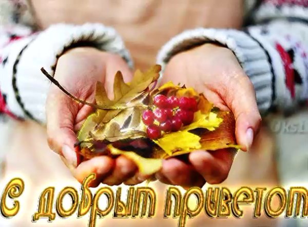 Доброго осеннего утра и хорошего здоровья