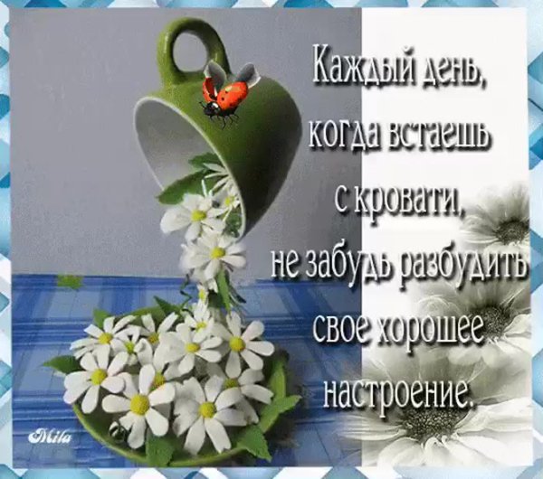 Пожелания хорошего дня и здоровья