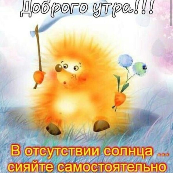 Ёжик и солнышко
