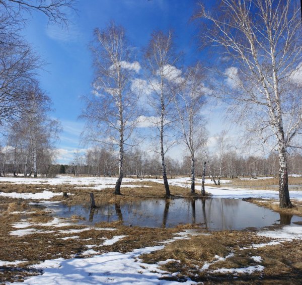 Ранняя Весна
