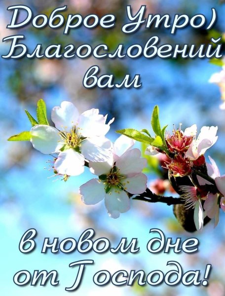 С добрым утром Божьего благословения