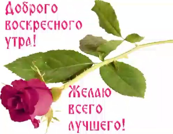 С добрым утром воскресенья