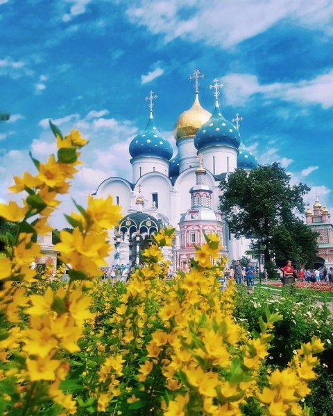 Святая Троица цветы Лавра Сергиев Посад