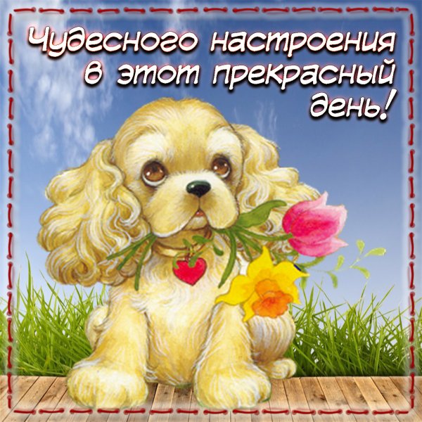 Пожелания хорошего настроения