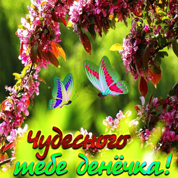 Пожелания доброго дня