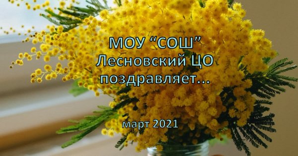 Голландская Мимоза