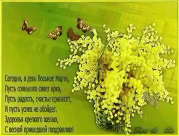 Подснежники и Мимоза