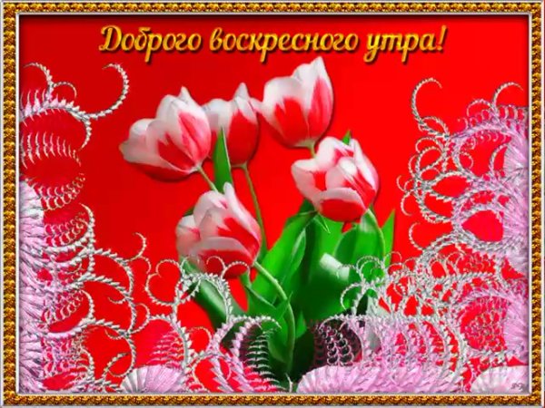 Открытки с добрым воскресным утром