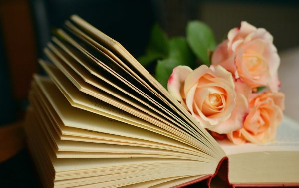 Книга Вдохновение