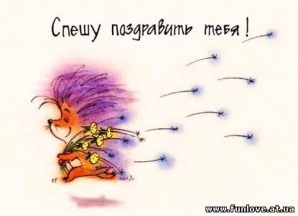 Цветы в подарок