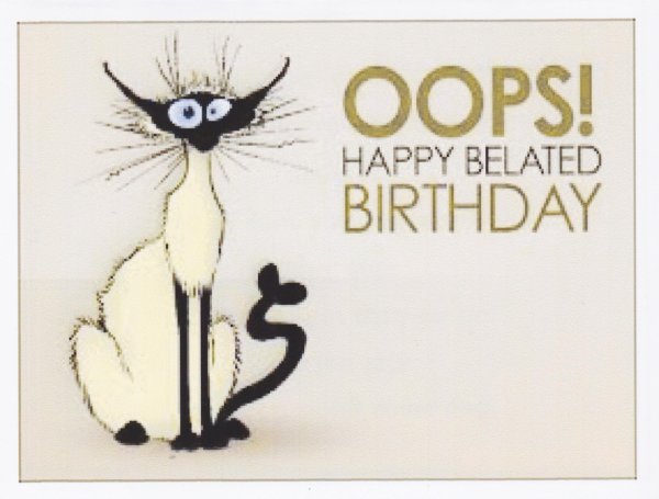 С прошедшим днём рождения черепаха