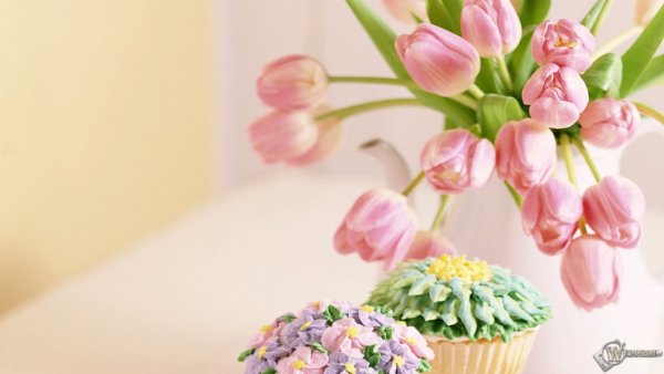 Поздравления с днём рождения девушке