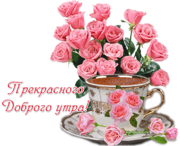 Замечательного утра и отличного дня