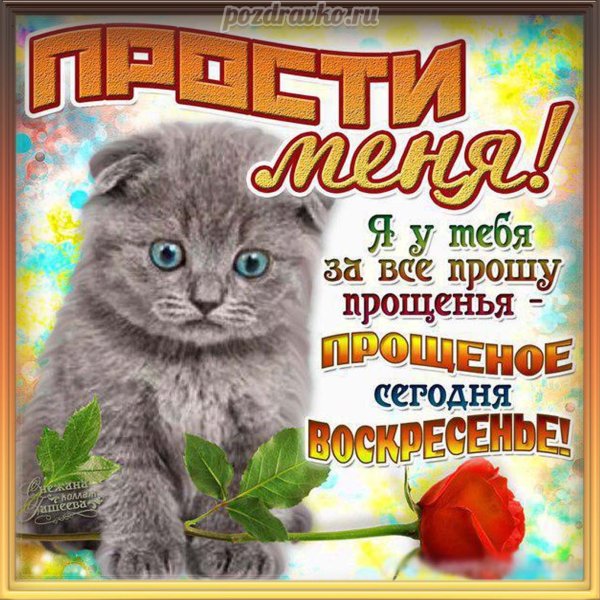 Открытка с прощением воскресенье