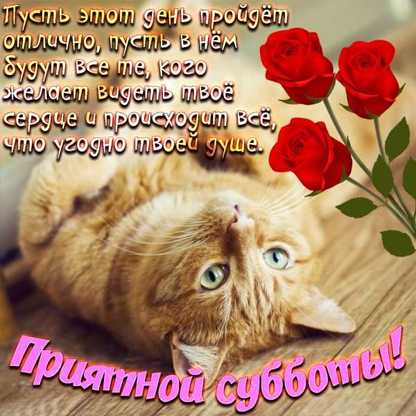 С добры м суббоьним утрои