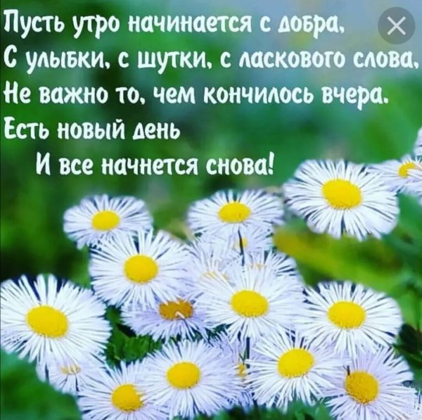 Красивые поздравления с добрым утром природа
