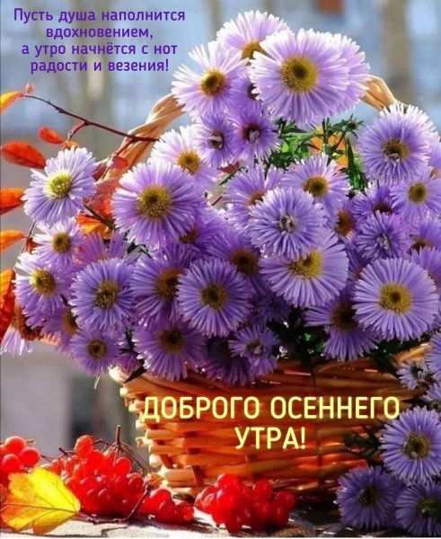 Цветы на рассвете