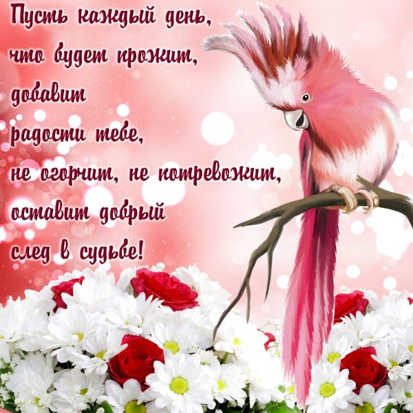 Пожелания на каждый день