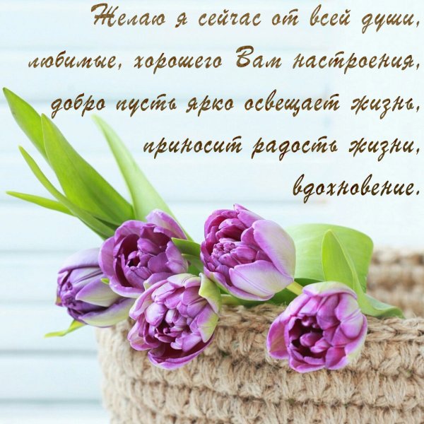 Поздравления на каждый день