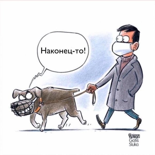 Приколы на злобу дня