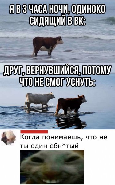 Злобный друг