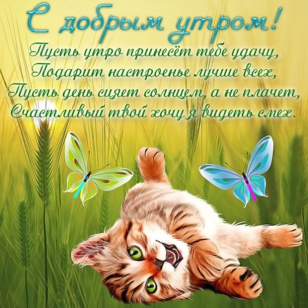 Открытки с добрым утром красивые