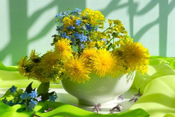 Солнечное утро одуванчики