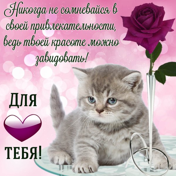 Красивые стихи девушке