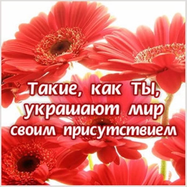 Список комплиментов