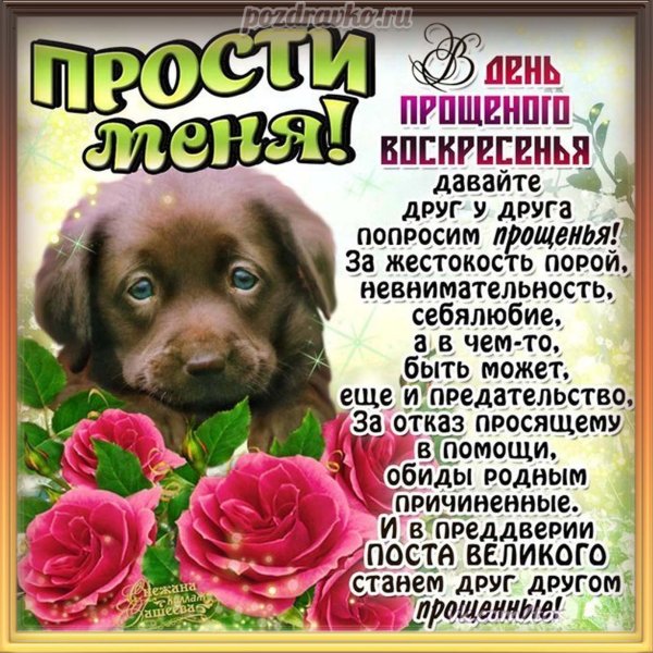 Открытки с прощённым воскресеньем