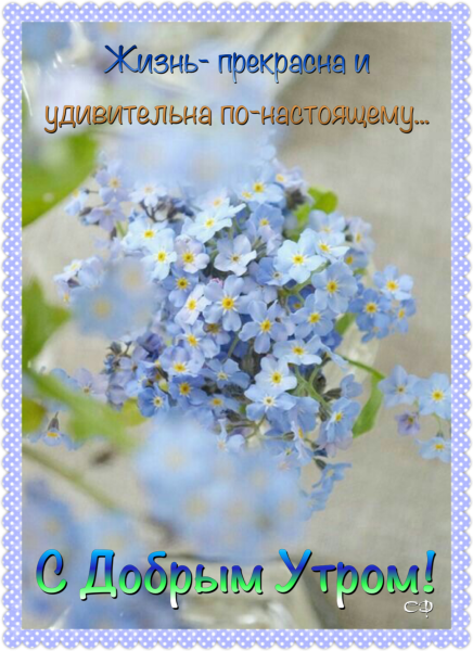 Доброе утро благословенного дня