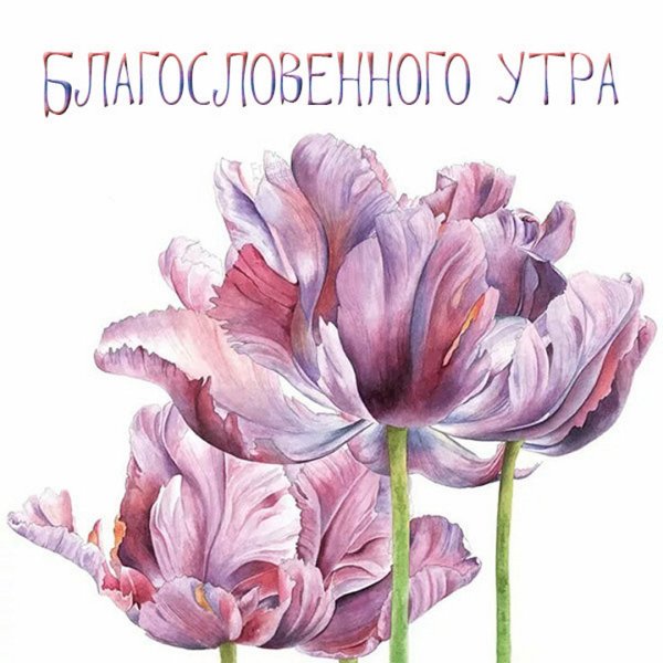 Благословенного утра картинки красивые
