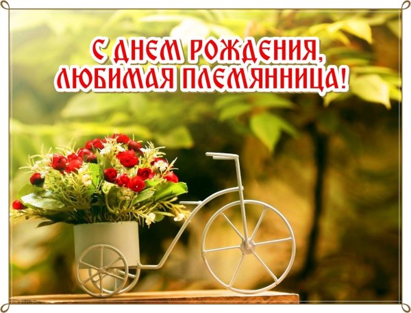 С днём рождения тёте от племянницы