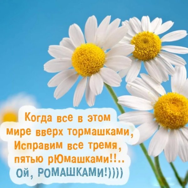 Поздравления с днём рождения ромашки